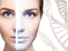 Dermatopatología